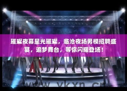 璀璨夜幕星光璀璨，临沧夜场男模招聘盛宴，追梦舞台，等你闪耀登场！